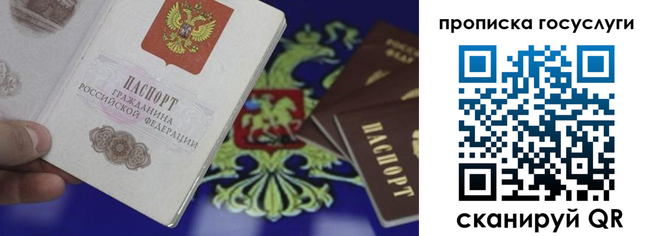 регистрация для школы в Зеленоградске
